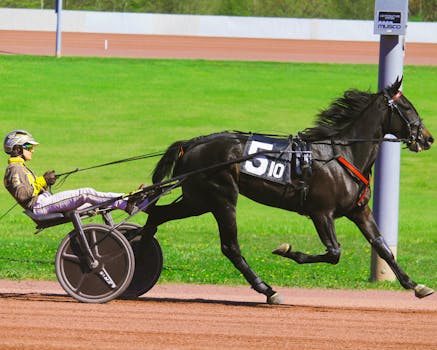 Mastering Live Event Betting: Tips for Adapting to Real-Time Sports Action